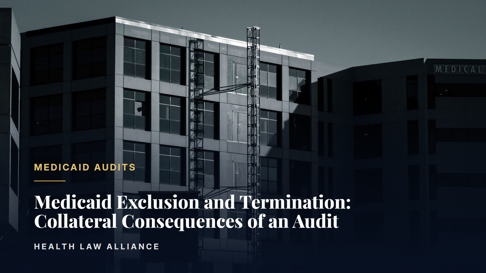 Medicaid Exclusion and Termination: Collateral Consequences of an Audit