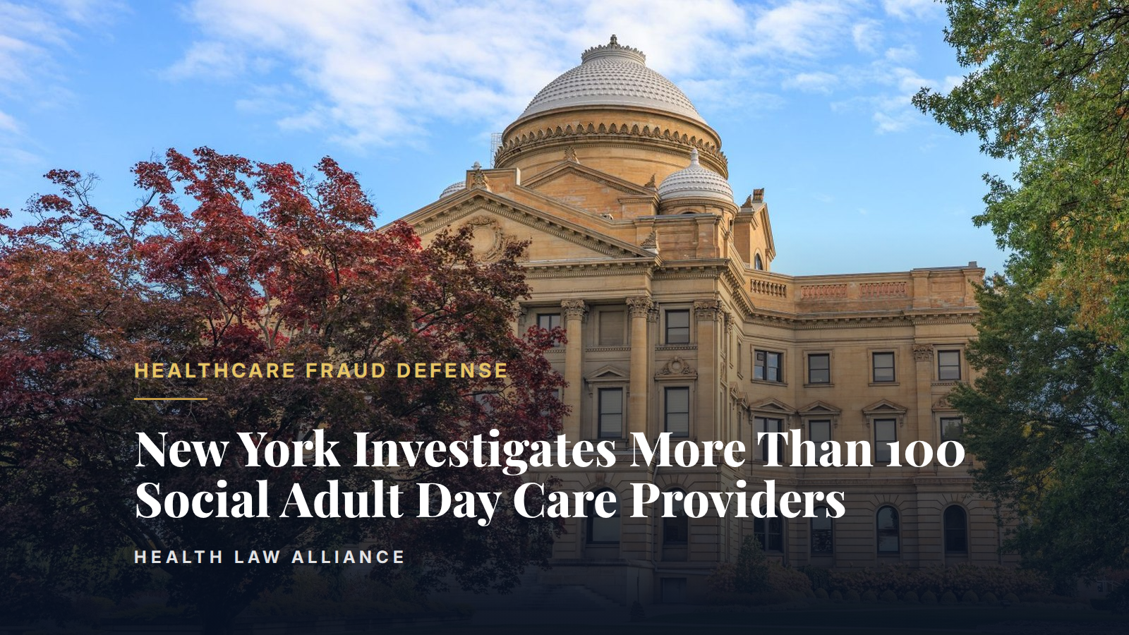 New York Investigates More Than 100 Social Adult Day Care Providers