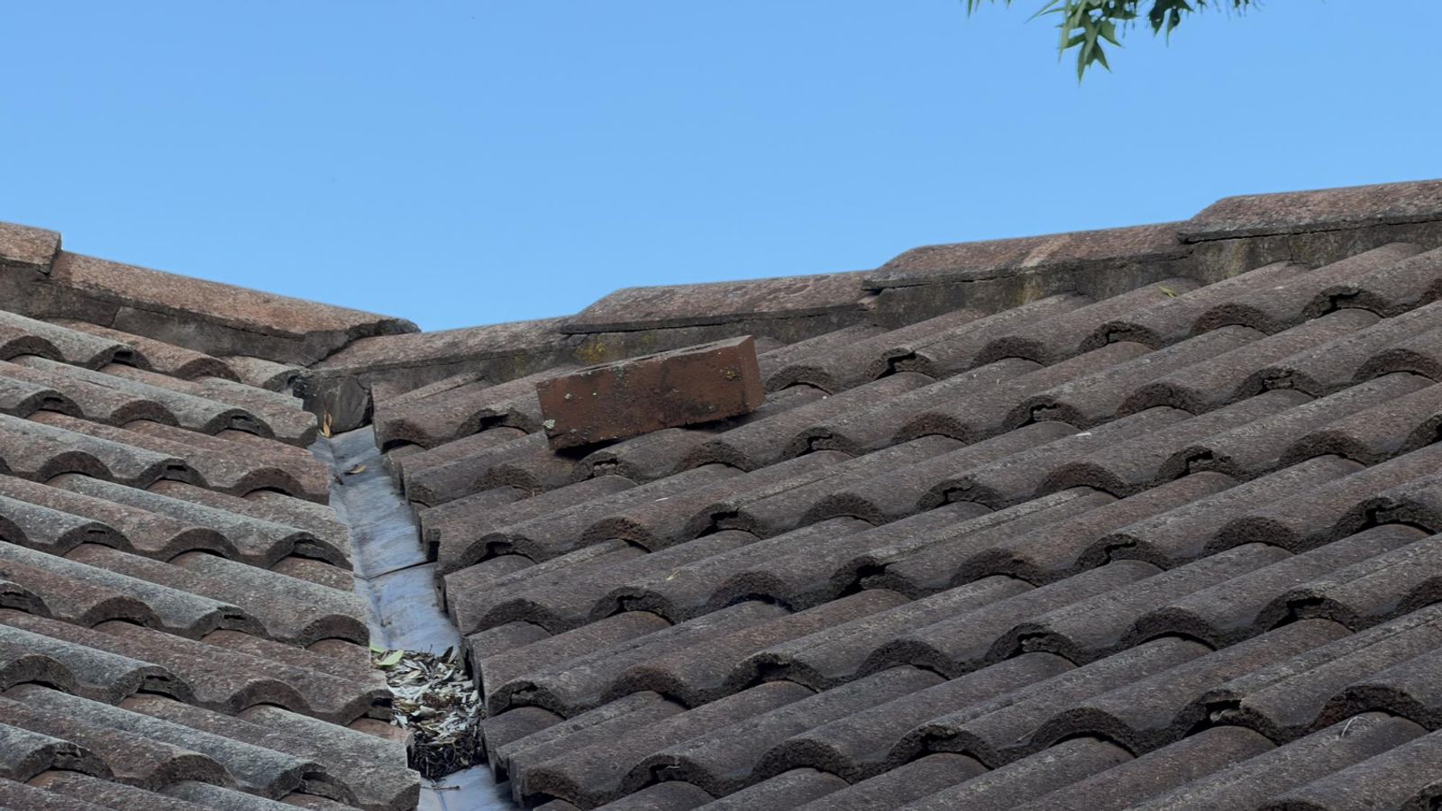 Completed roof restoration project by Roof Painting Plus — What to Expect From Concrete Tile Roof Restoration in Tamworth