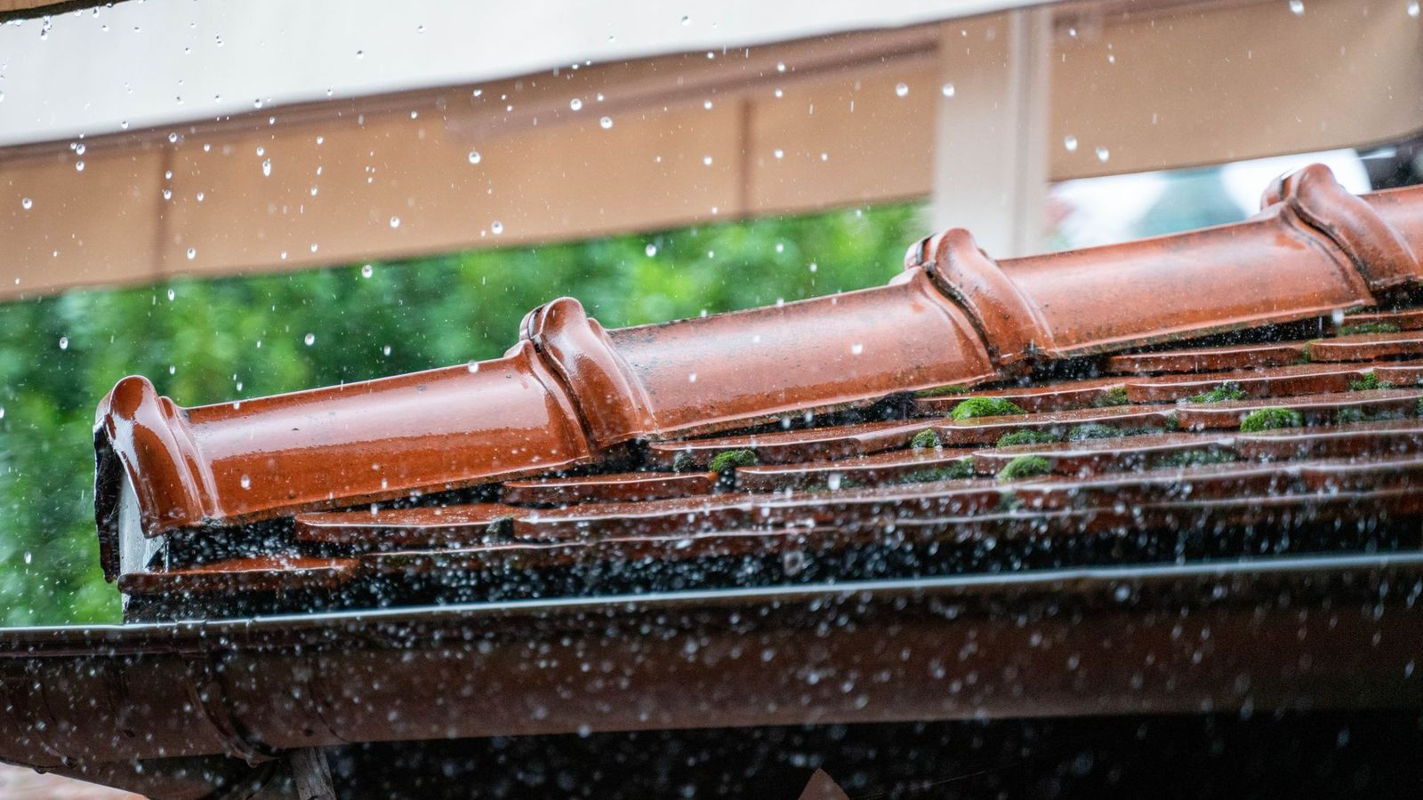 Completed roof restoration project by Roof Painting Plus — What Happens When Tamworth Spring Storms Expose a Roof Leak?