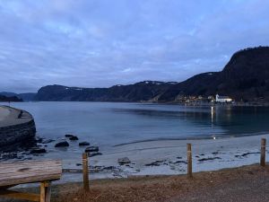 Utsikt over fjorden