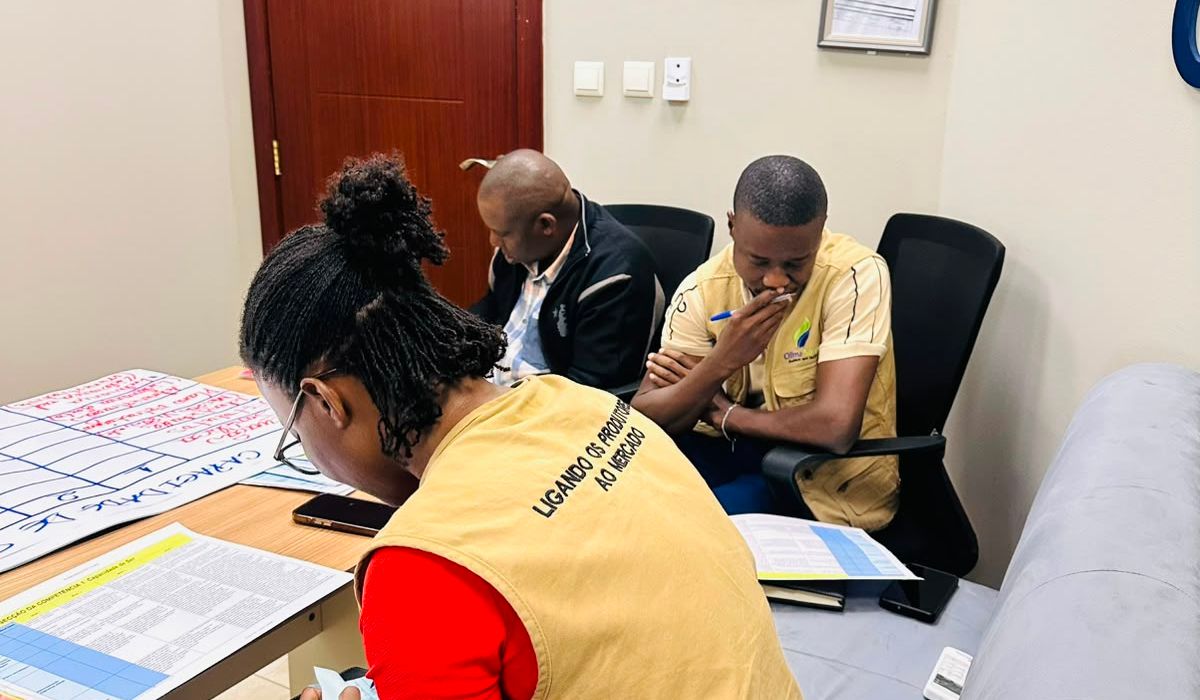 Apresentação dos resultados do grupo de debate — OCAP 2026