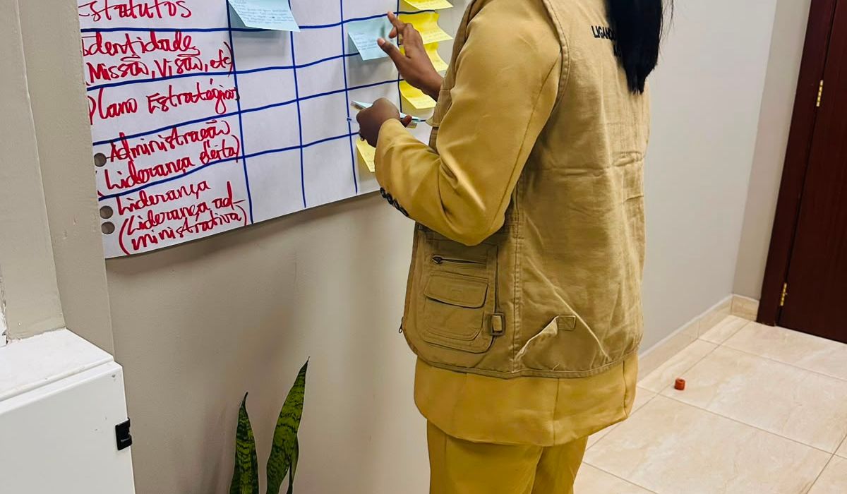 Avaliação da Capacidade de Ser — matriz preenchida pelos participantes