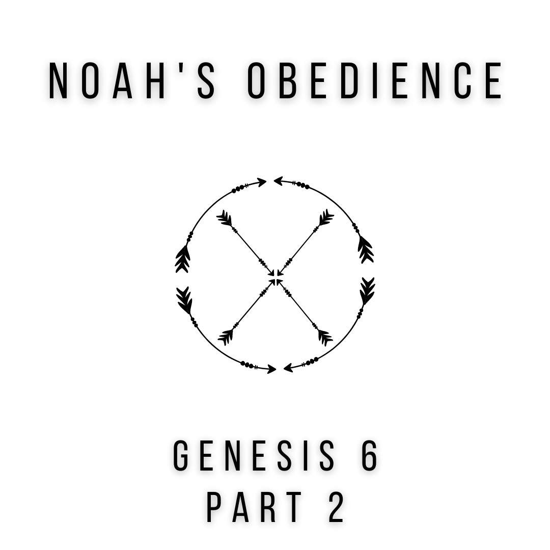 video announcement cover