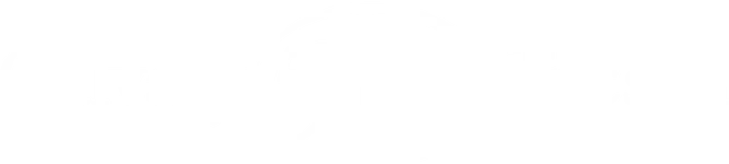 50+ logo