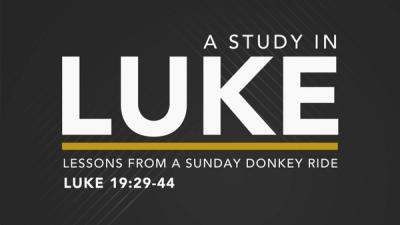 Lessons From a Sunday Donkey Ride
