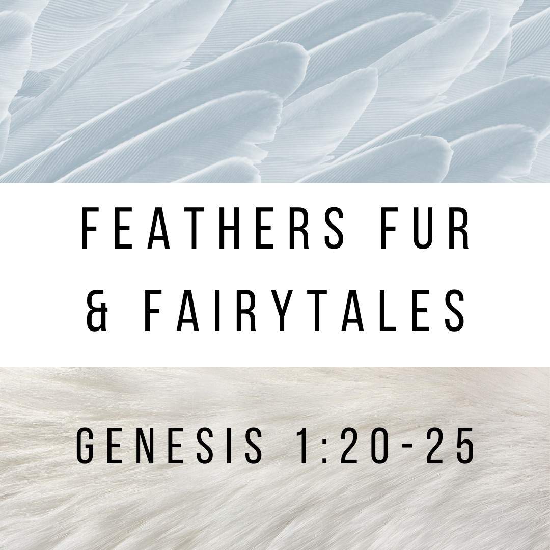 video announcement cover