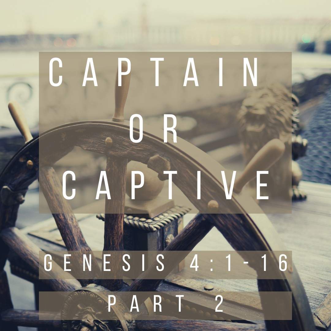 video announcement cover