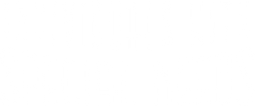 Special Needs logo