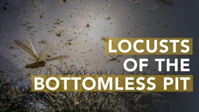 Locusts of the Bottomless Pit