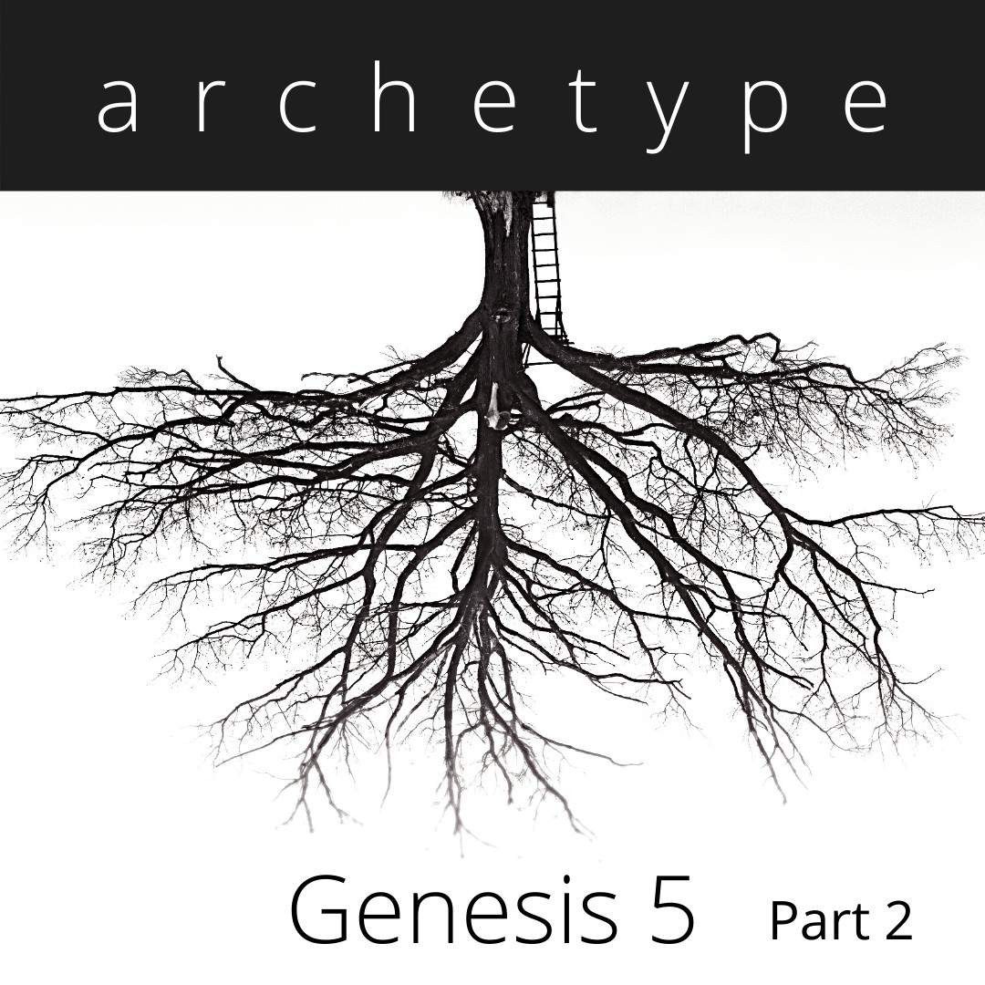 video announcement cover