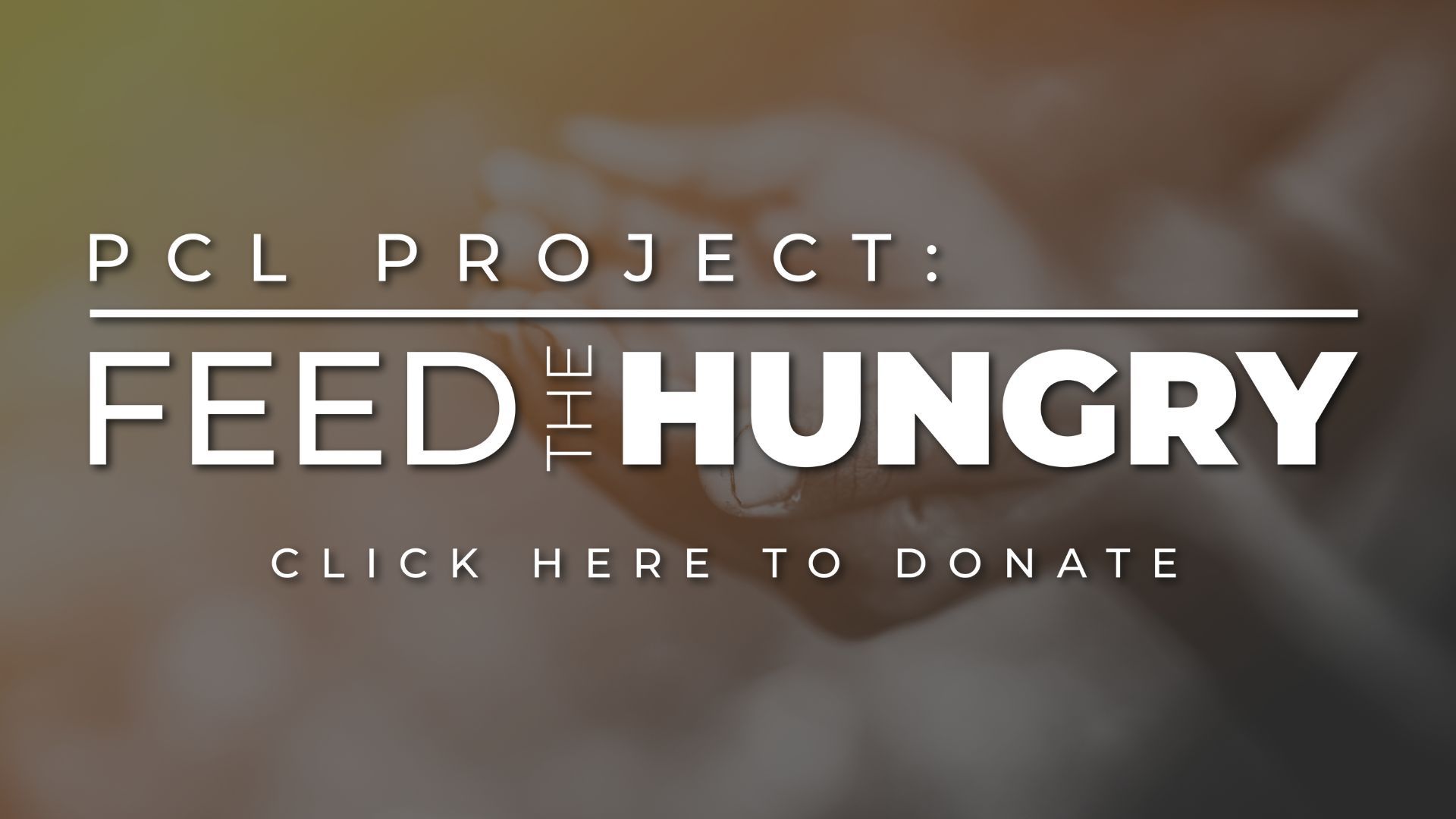 PCL Project: Feed The Hungry