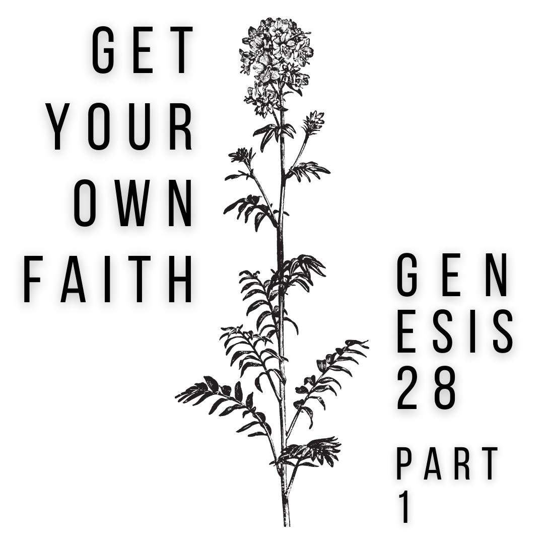 video announcement cover