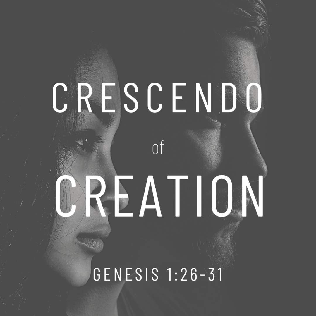 video announcement cover