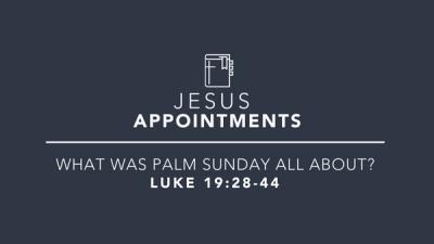 What Was Palm Sunday All About?