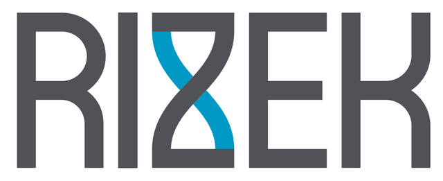 Rizek