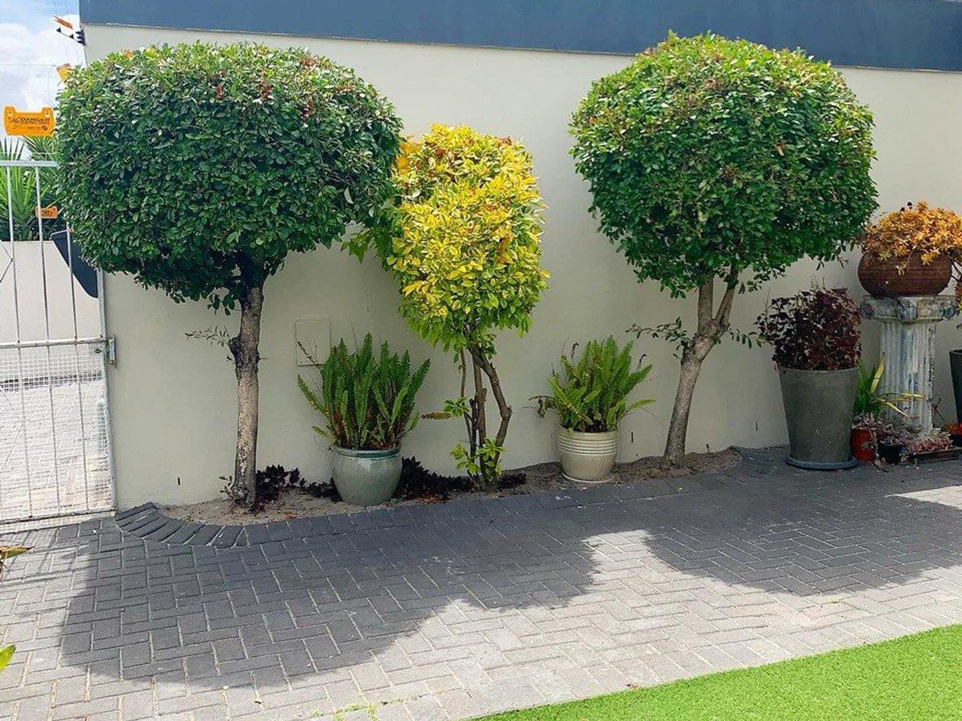 Modern Garden Tree Trimming and Shaping after renovation