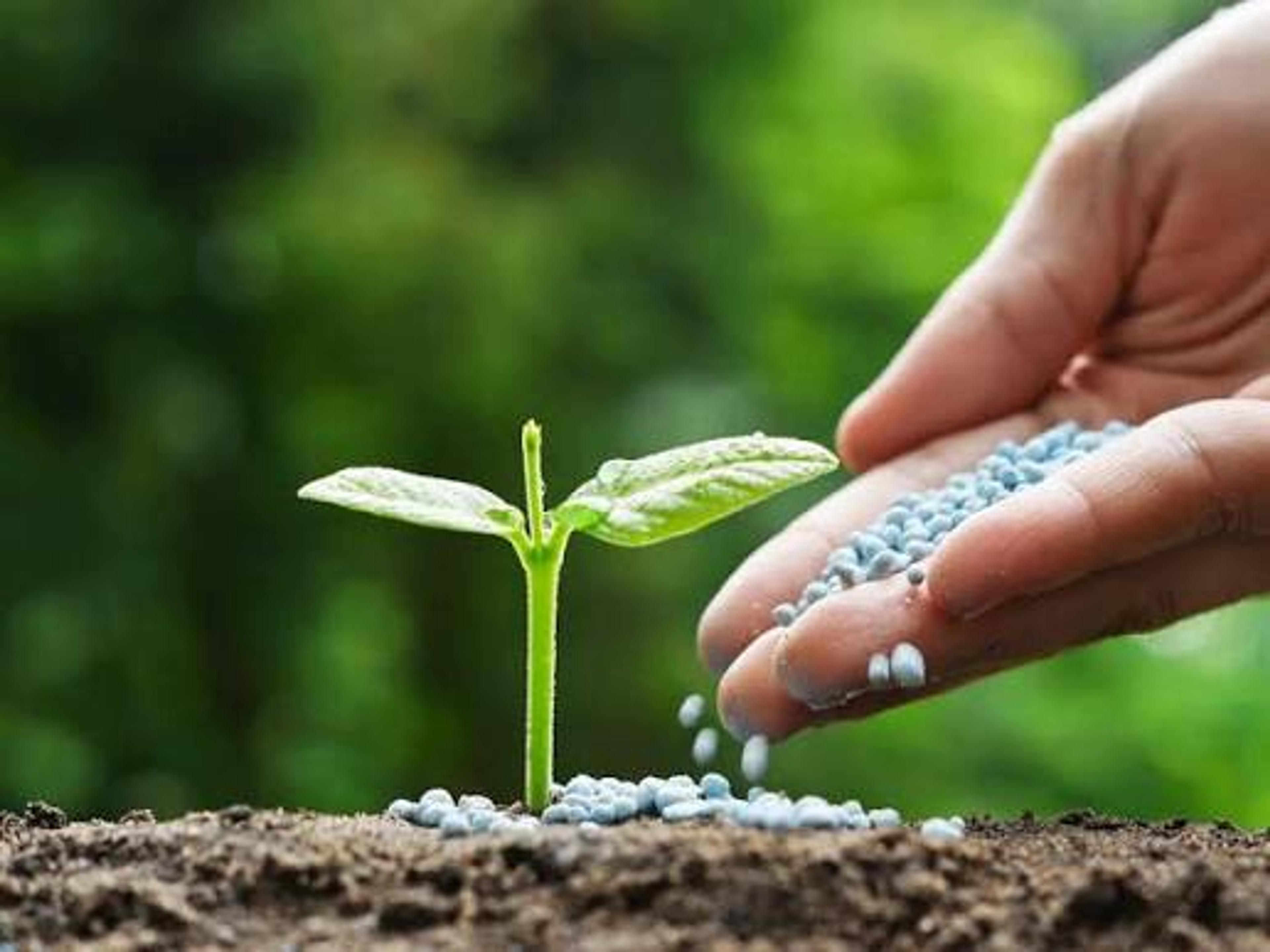 الأسمدة المغربية لتخفيف أضرار الحرب على الولايات المتحدة
