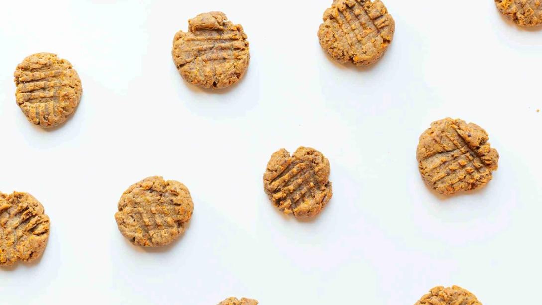 Vegan Gingersnap Protein Cookie Recipe