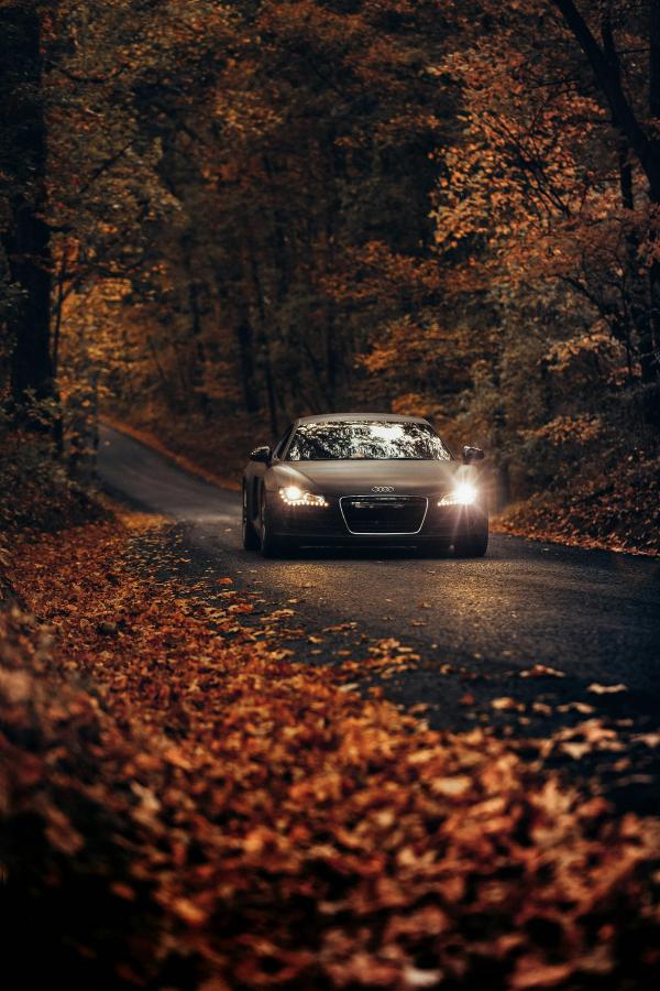 Black car on the autumn road