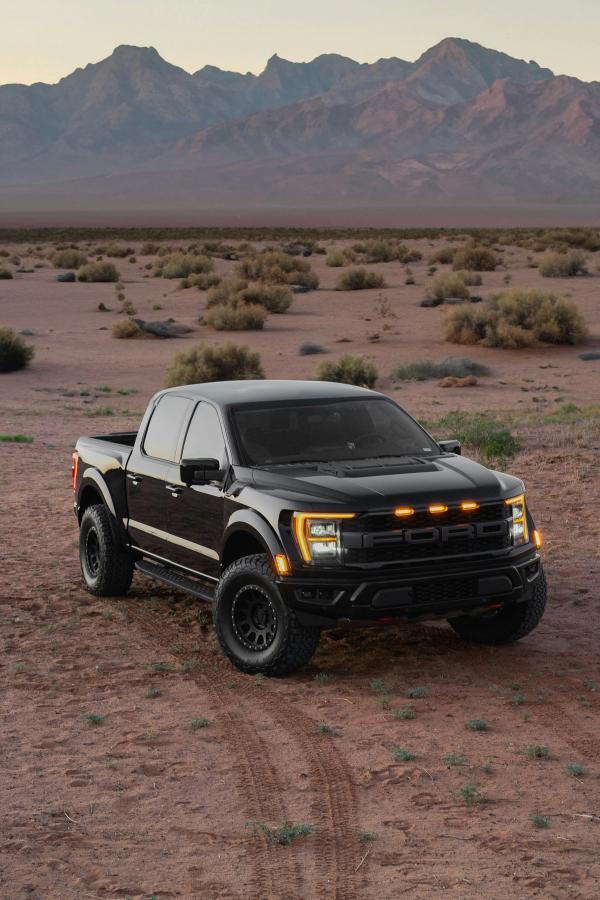 ford truck