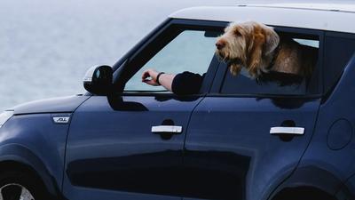 No New Cars Under $20,000 in 2026: The Last Affordable Models Just Disappeared