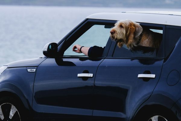 No New Cars Under $20,000 in 2026: The Last Affordable Models Just Disappeared