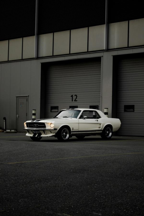 white ford near the garage