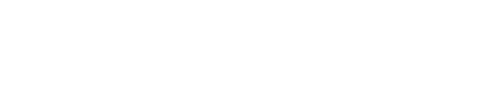 main logotype