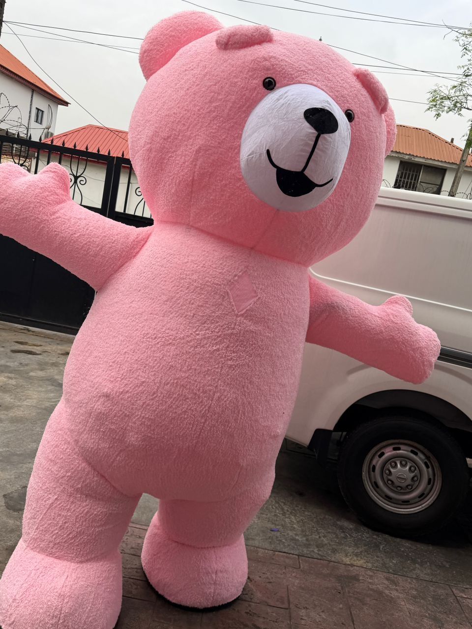 Pink teddy bear mascot