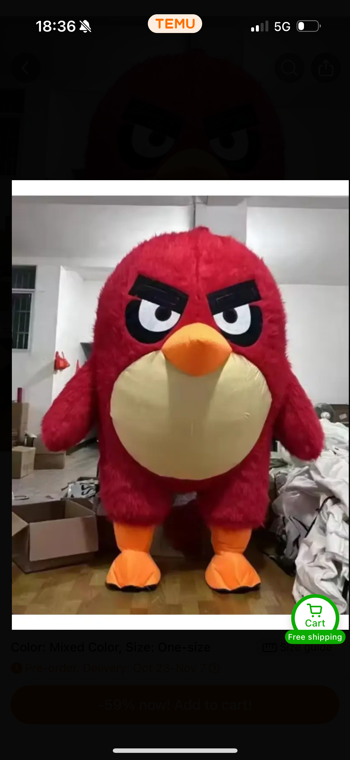 Angry bird
