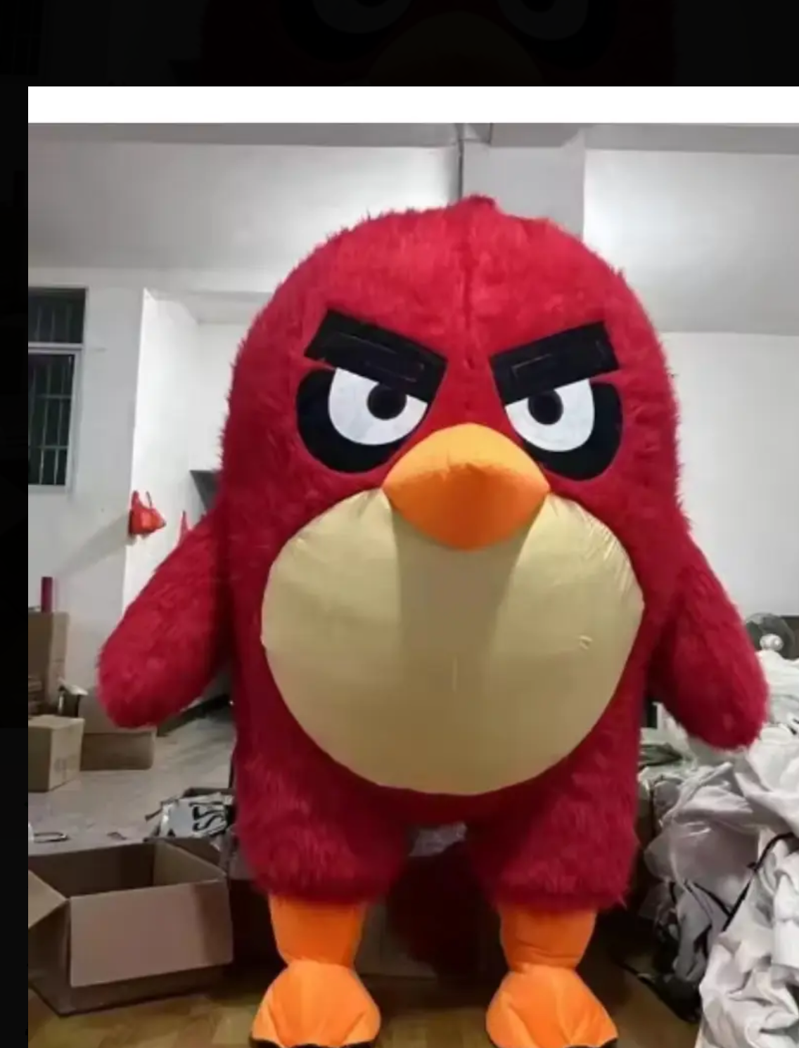 Angry bird