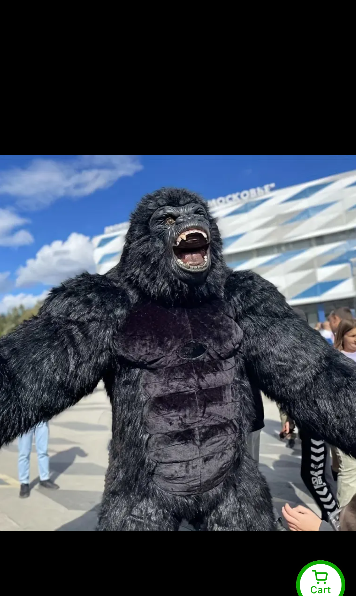 Gorilla costume 