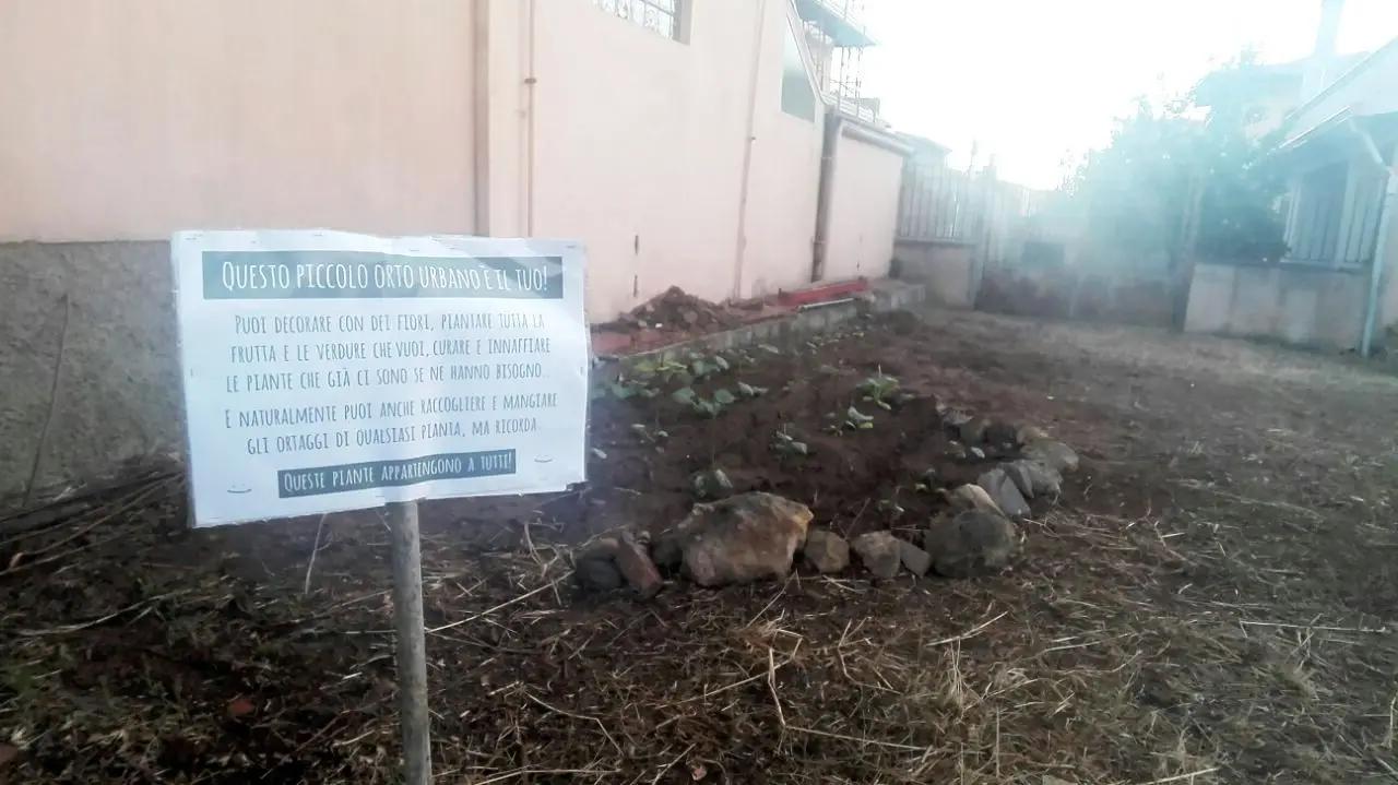 Our 2nd urban garden in Iglesias