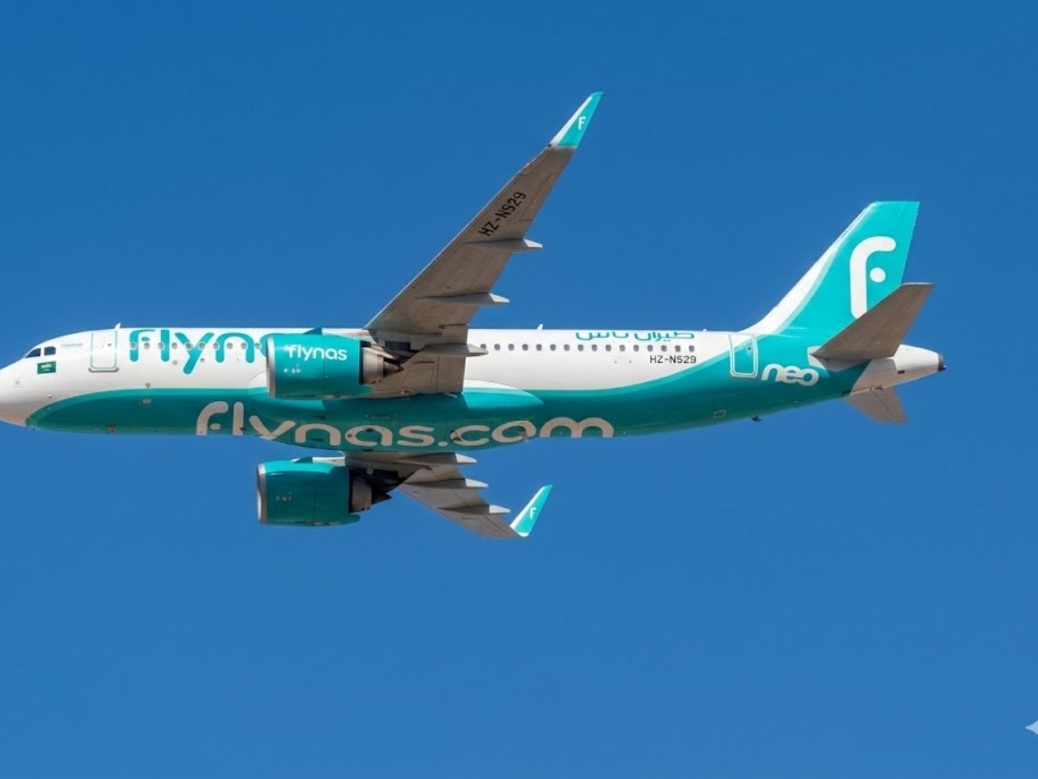 flynas tazminat talep rehberi
