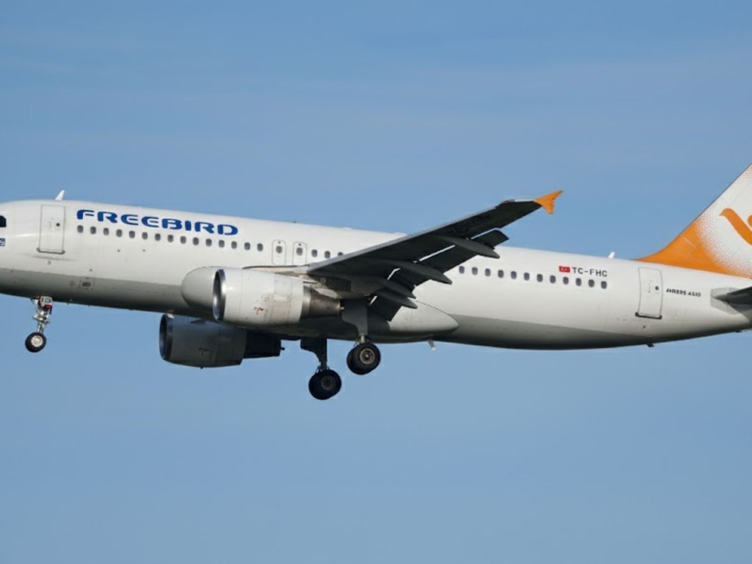 freebird airlines tazminat rehberi