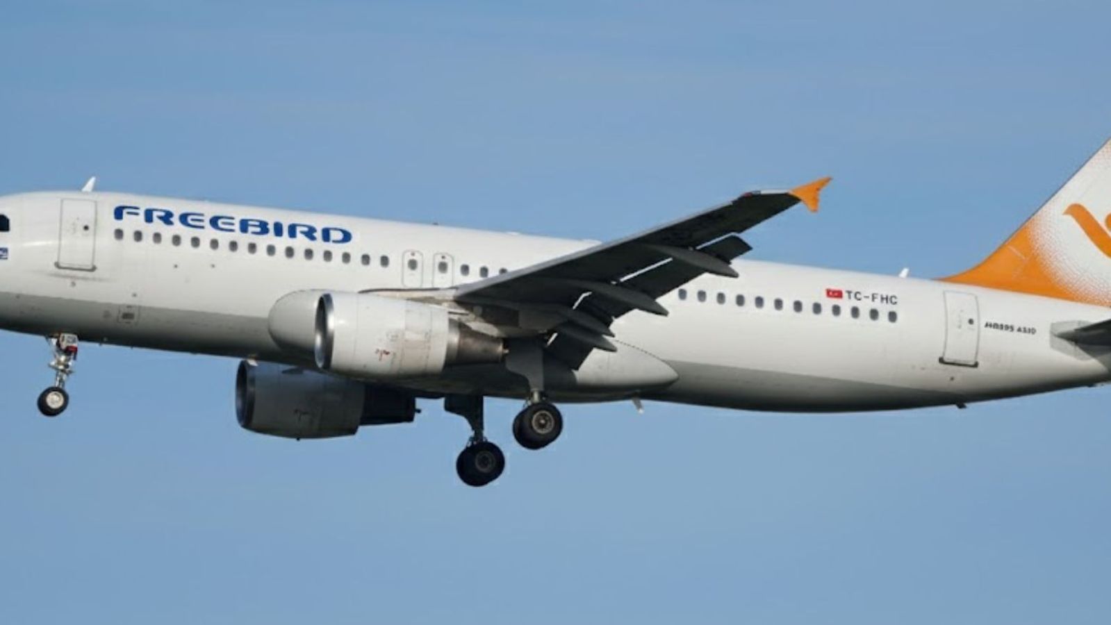 freebird airlines tazminat rehberi