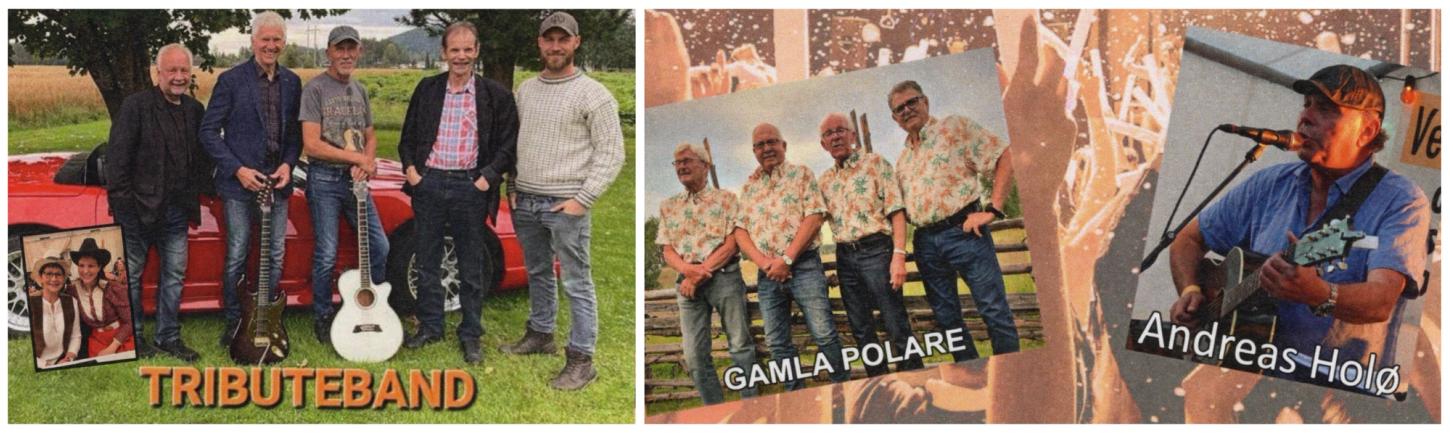 Tributeband, Gamla polare og Andreas Holø