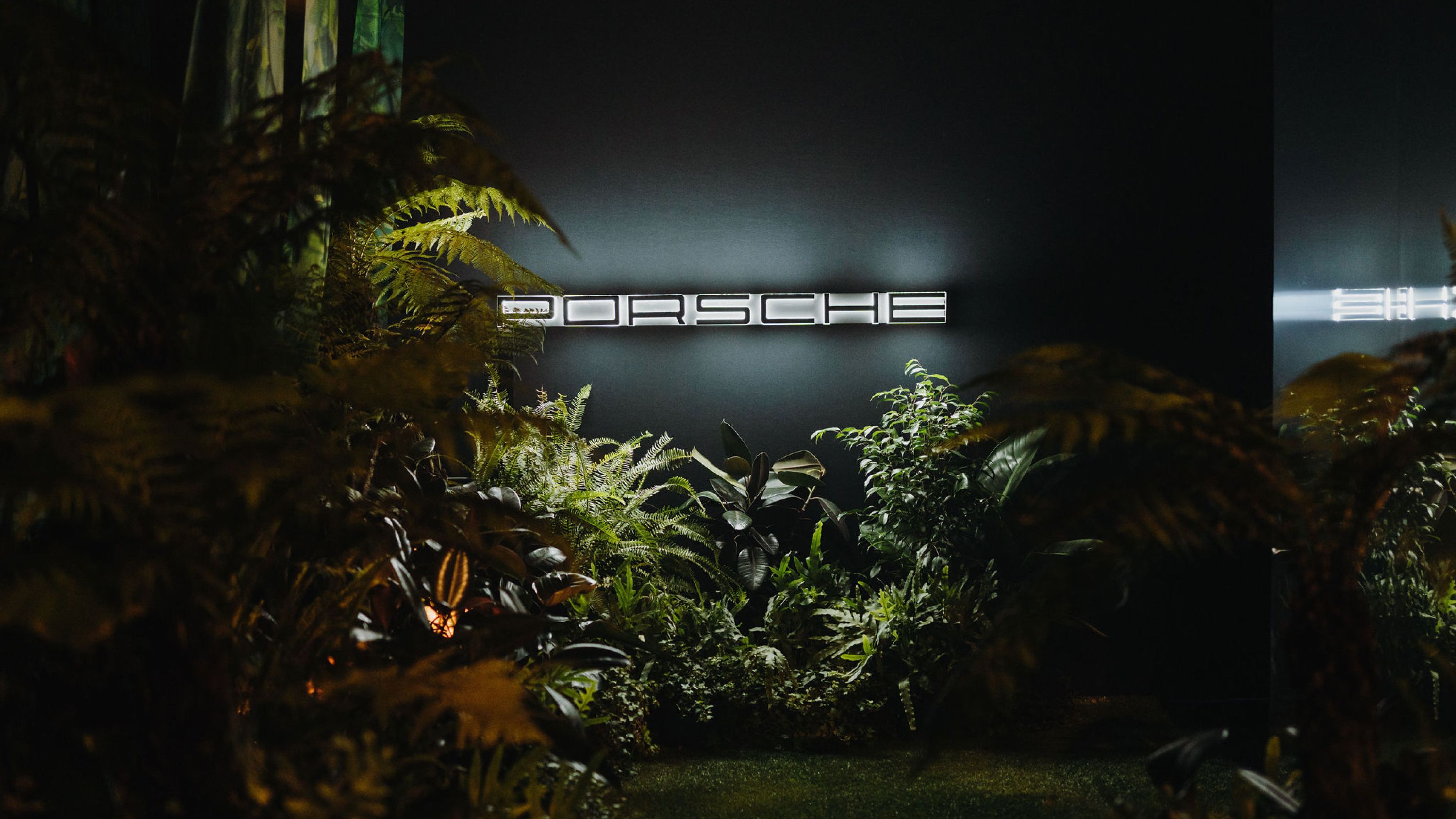 A dark room  with a backlit Porsche logo centred on the back wall surrounded by foliage.