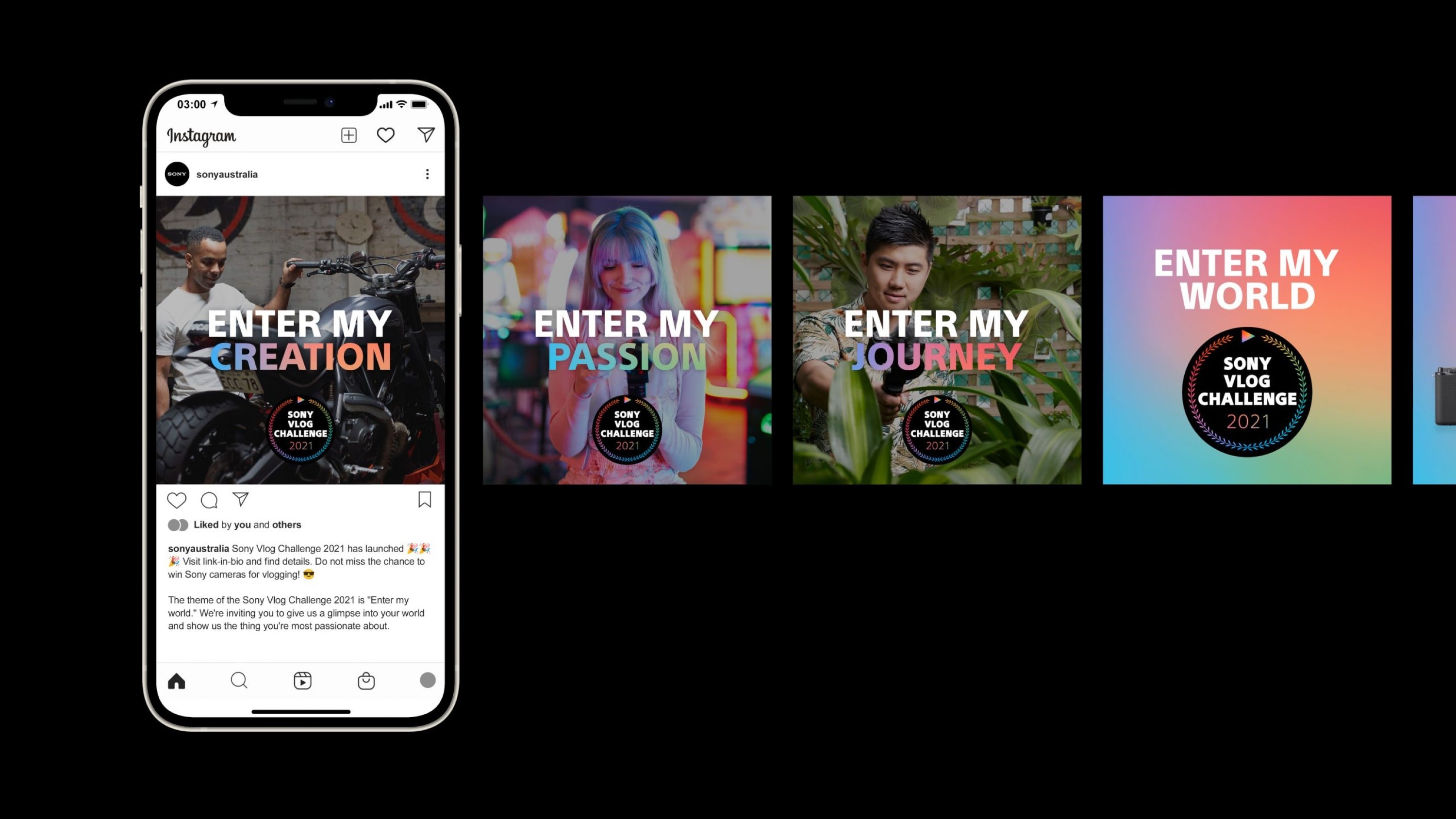 Social post examples.
