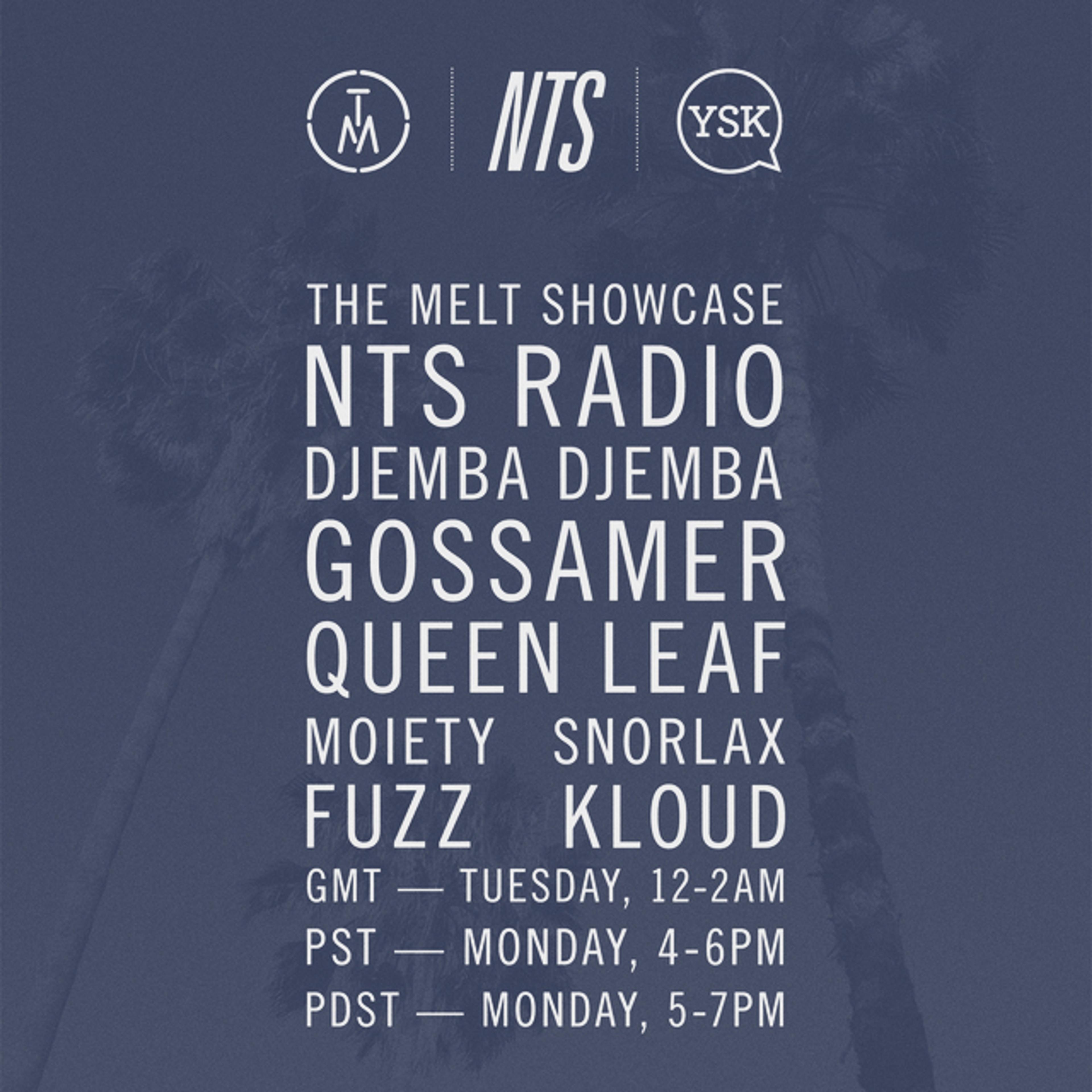 The Melt (All Members) & 00Genesis