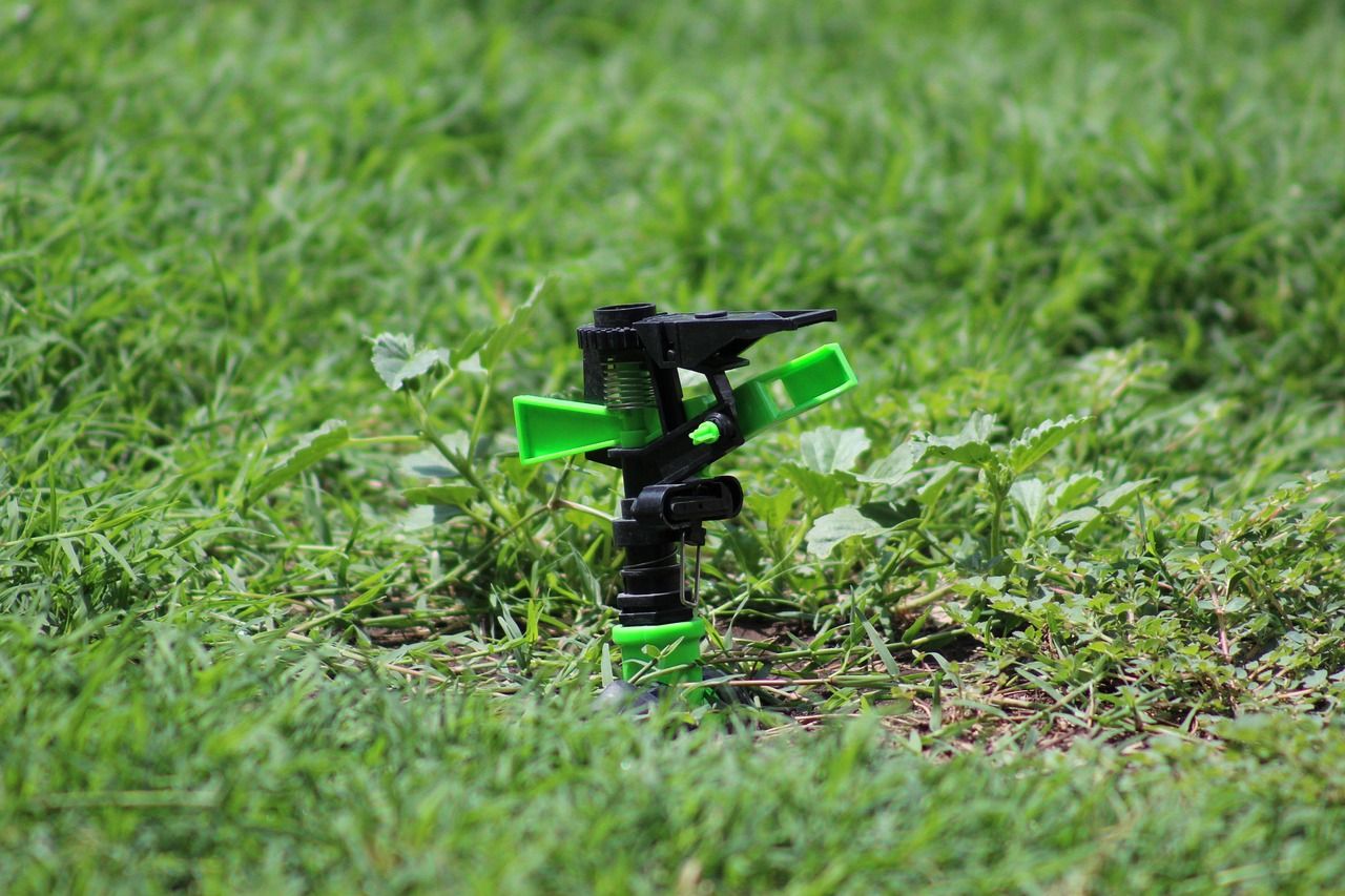 Residential lawn and irrigation area