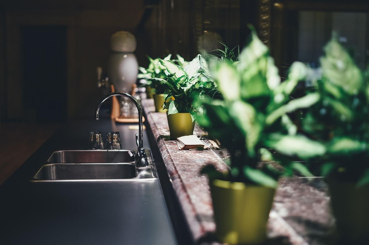 Kitchen sink and garbage-disposal area