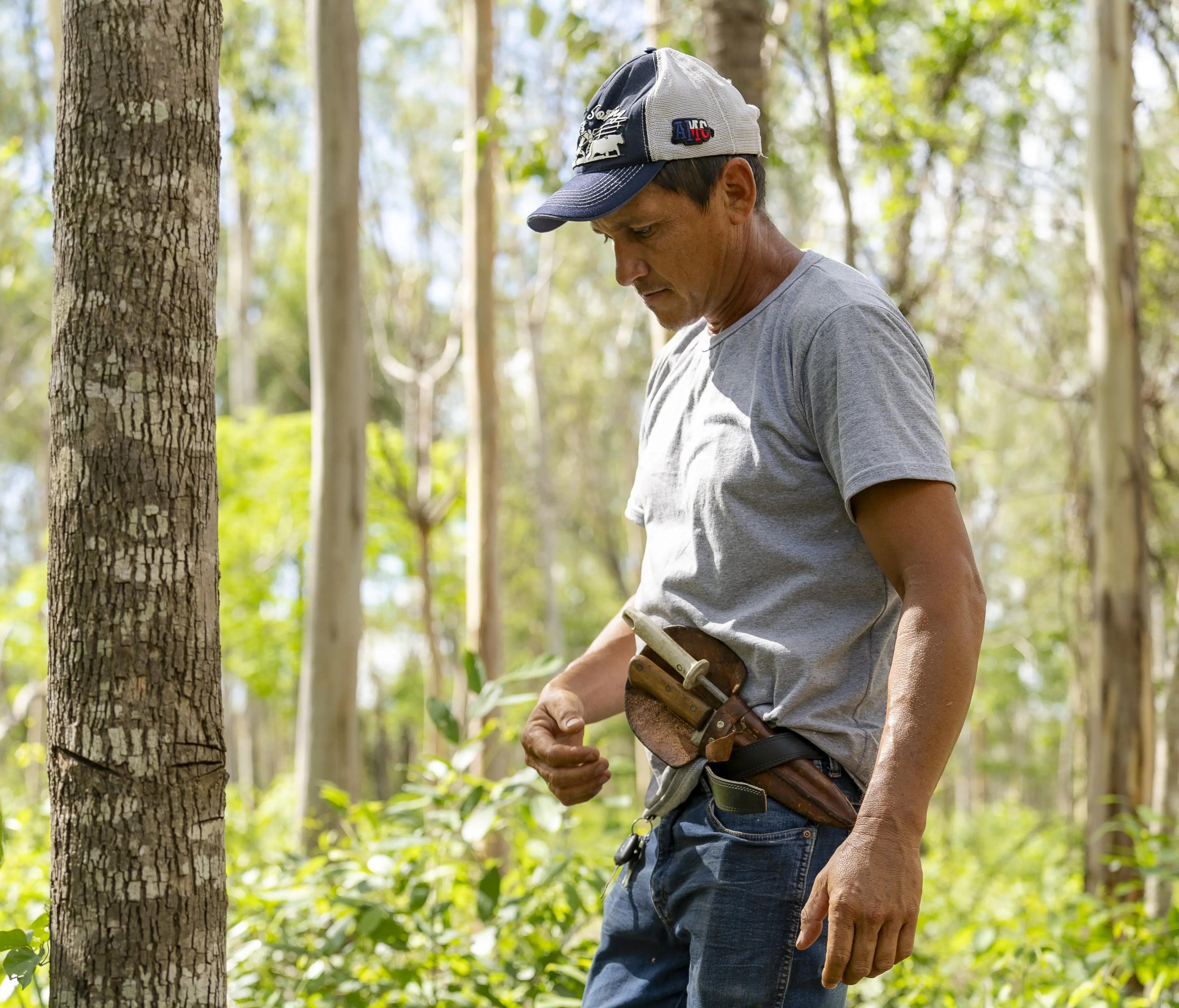 Forestal Rio Aquidaban - Forest inspection