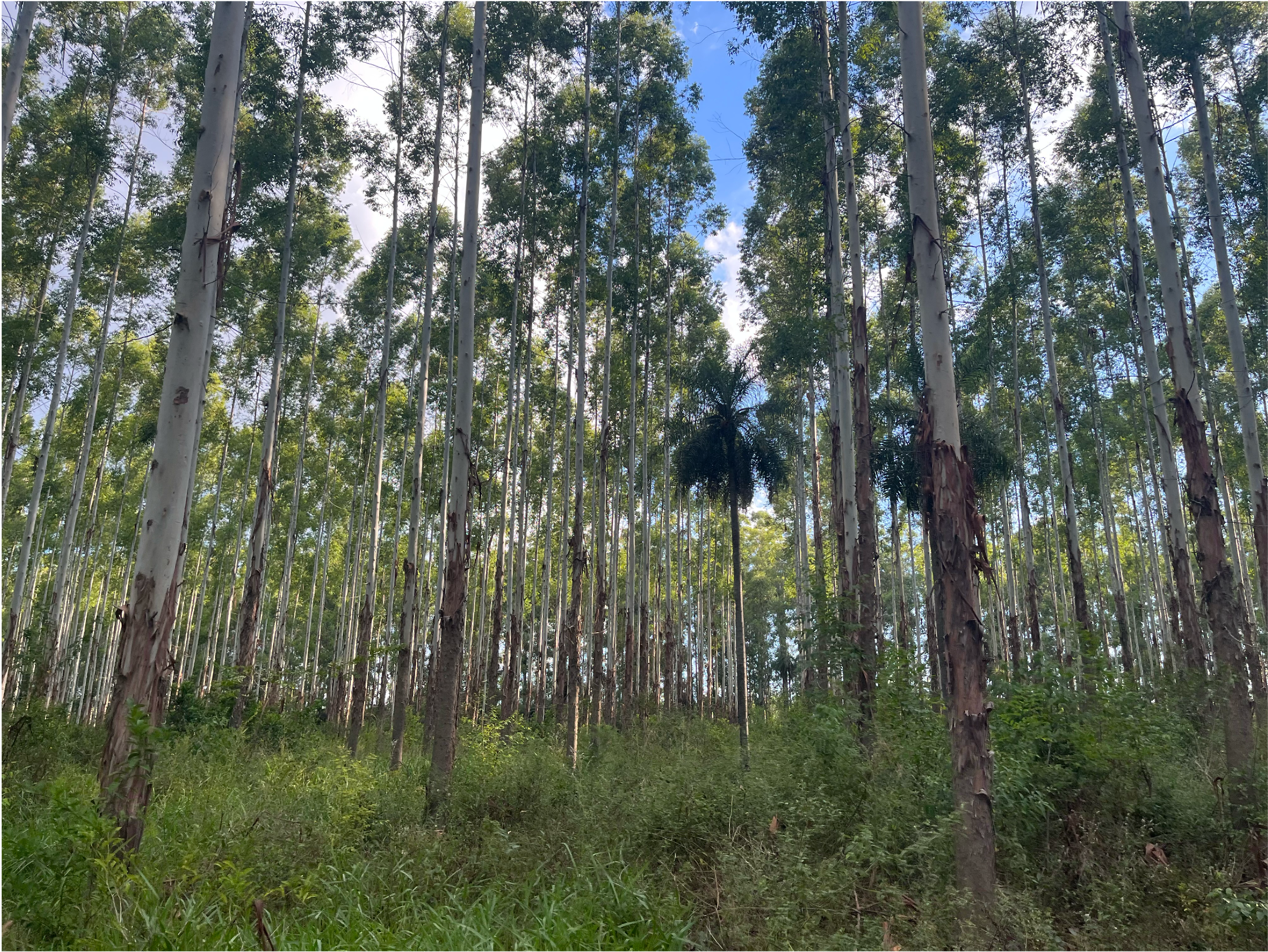 Image 14