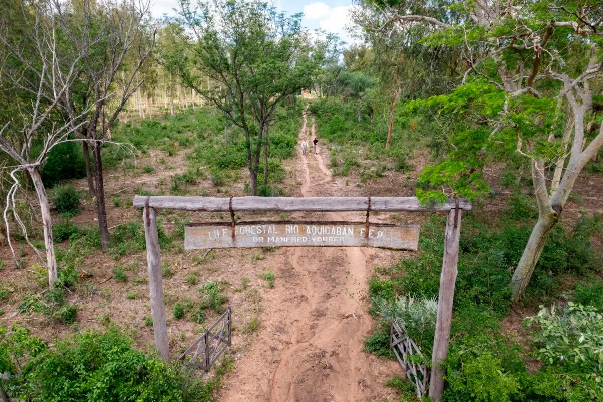Forestal Rio Aquidaban - Entrance project area