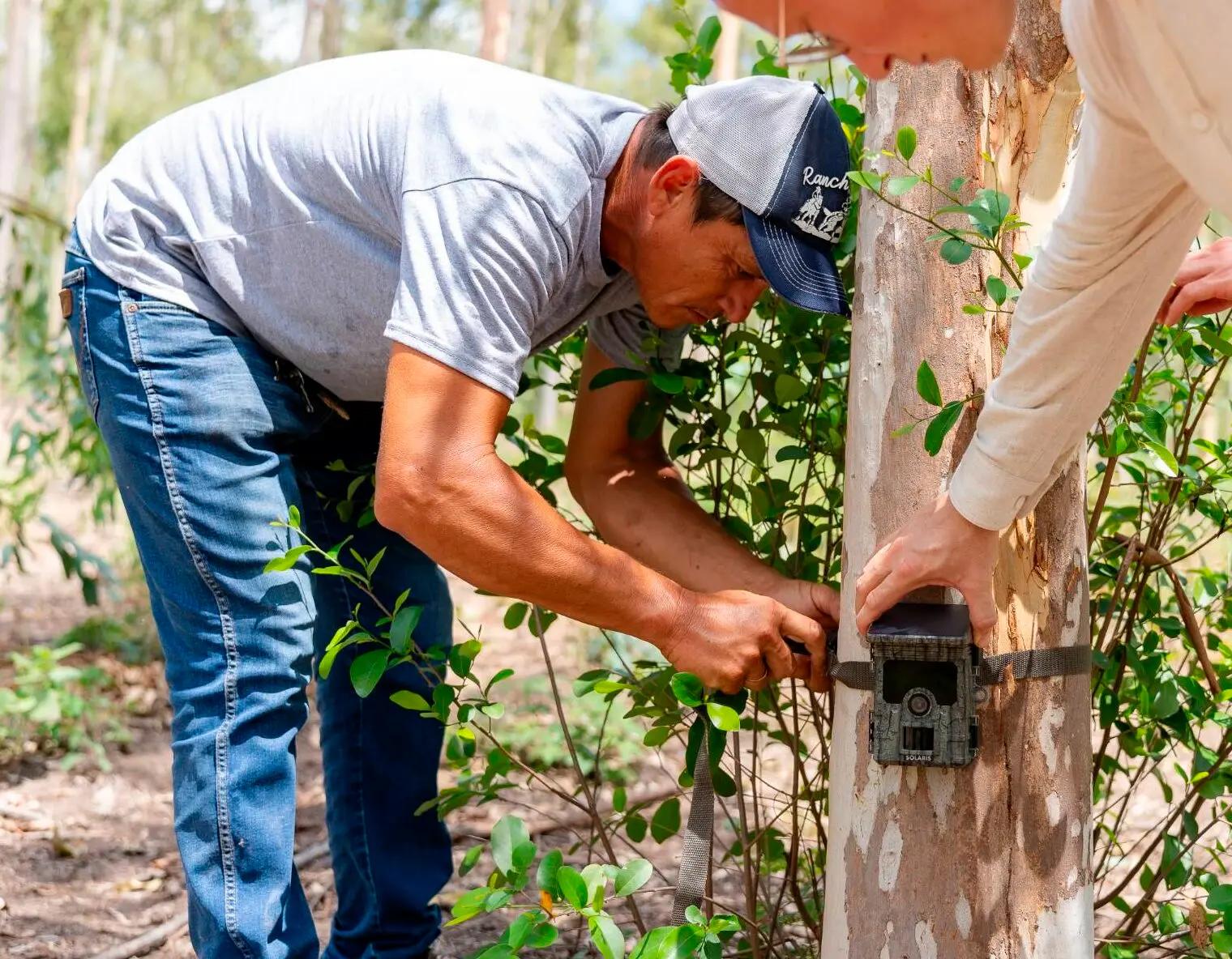 Forestal Rio Aquidaban - Setting up cameras