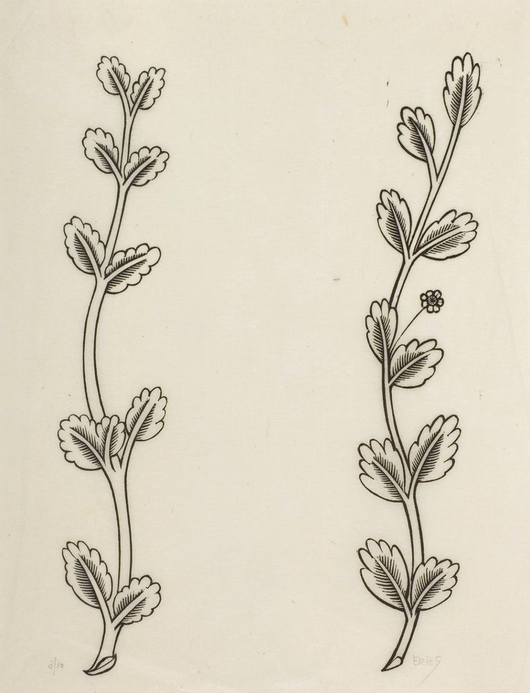 'Ten Leaves with Flower at Side' and 'Eleven Leaves'