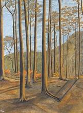 Woodland