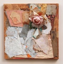 Flower Collage